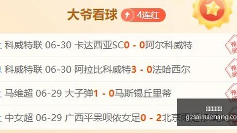 广州赛马场，赛程安排， 113024